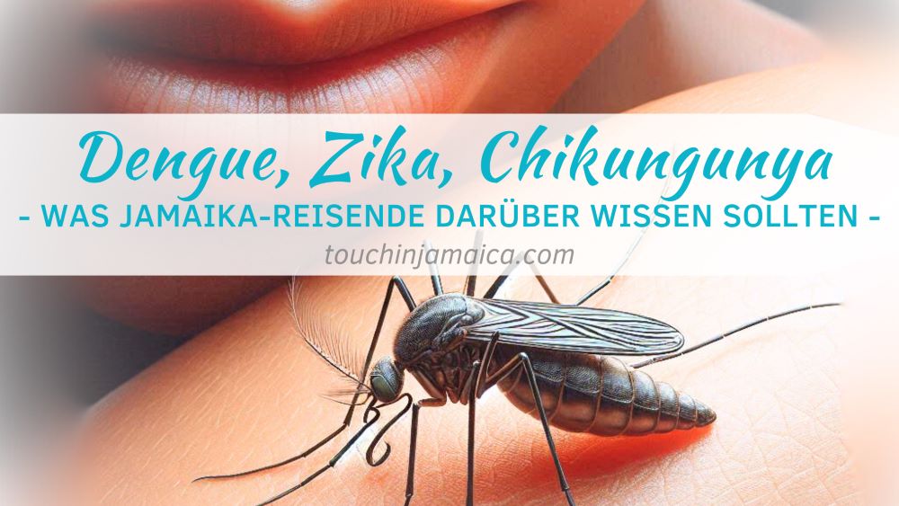 Dengue, Zika, Chikungunya – Was Jamaika-Reisende darüber wissen sollten